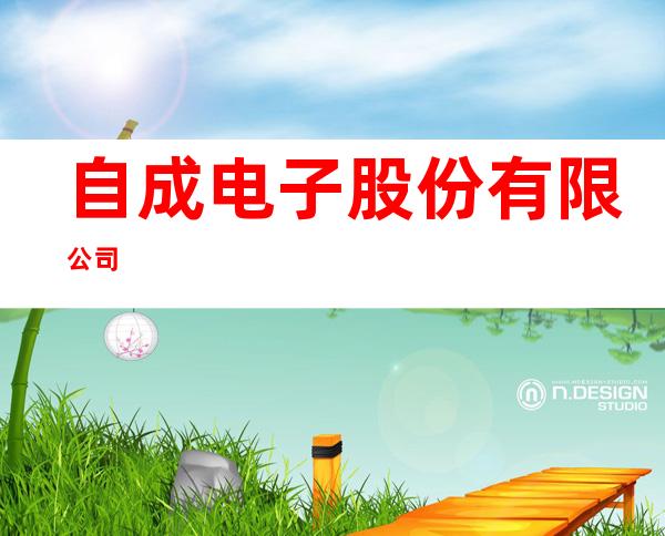 自成电子股份有限公司